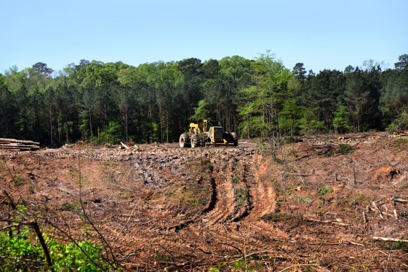 Building Site Clearing in Marietta, GA