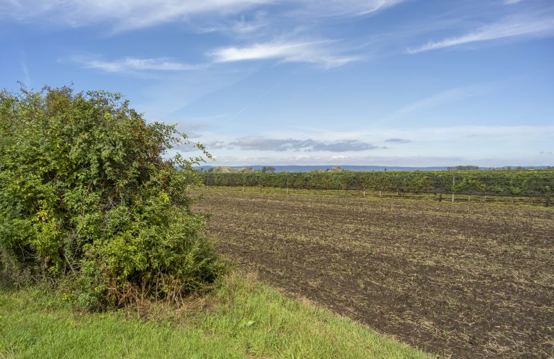 Acreage Clearing in Gwinnett County, GA