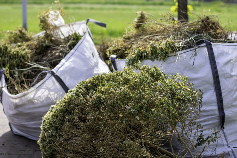 Bushes Clearing in Gwinnett County, GA