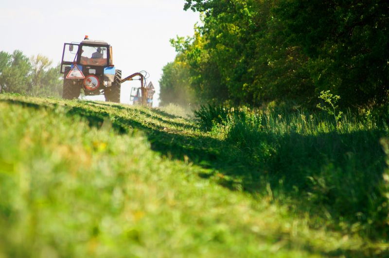 Field Clearing in Houston, TX