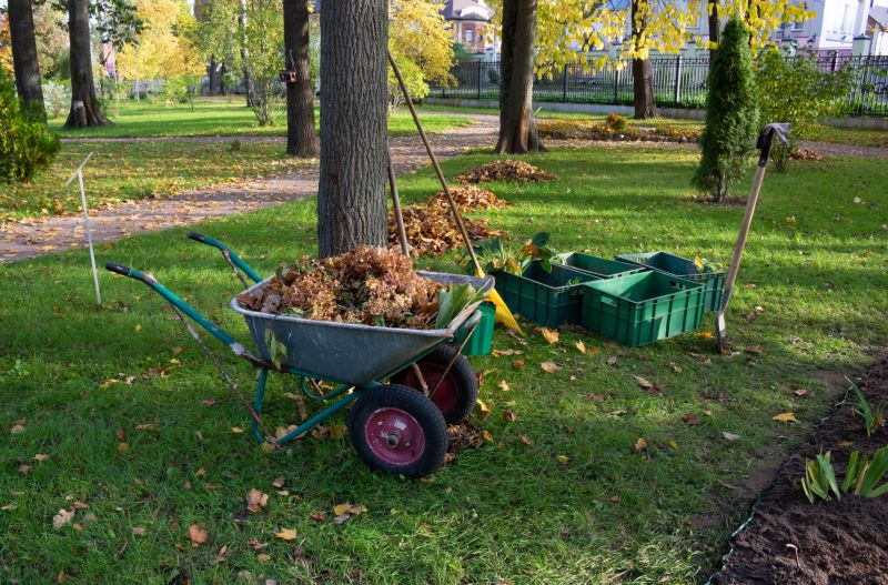 Ground Clearing in Salt Lake City, UT