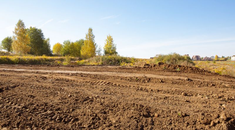 Land Clearing in Gwinnett County, GA