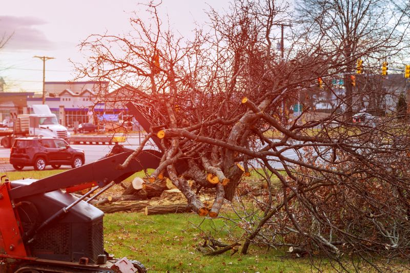 Site Clearing Service in Houston, TX