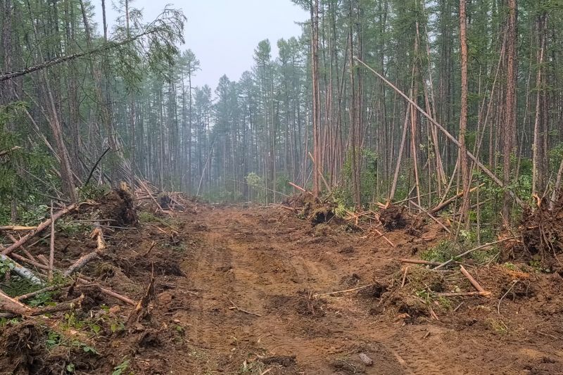 Slope Clearing in Marietta, GA